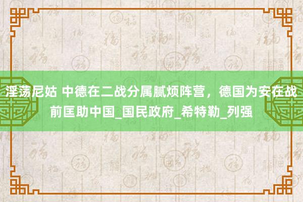 淫荡尼姑 中德在二战分属腻烦阵营，德国为安在战前匡助中国_国民政府_希特勒_列强