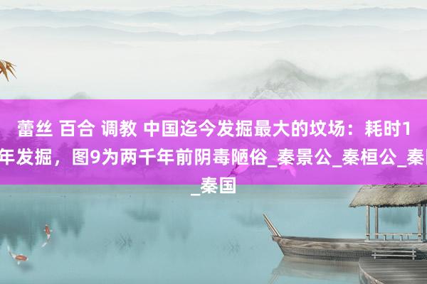 蕾丝 百合 调教 中国迄今发掘最大的坟场：耗时10年发掘，图9为两千年前阴毒陋俗_秦景公_秦桓公_秦国