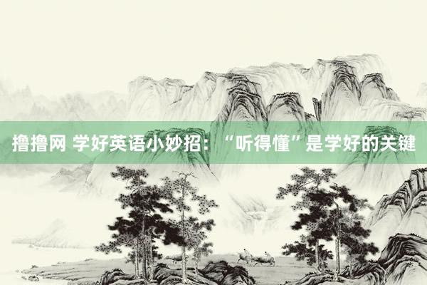撸撸网 学好英语小妙招:“听得懂”是学好的关键