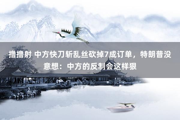 撸撸射 中方快刀斩乱丝砍掉7成订单，特朗普没意想：中方的反制会这样狠