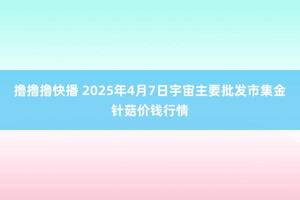 撸撸撸快播 2025年4月7日宇宙主要批发市集金针菇价钱行情