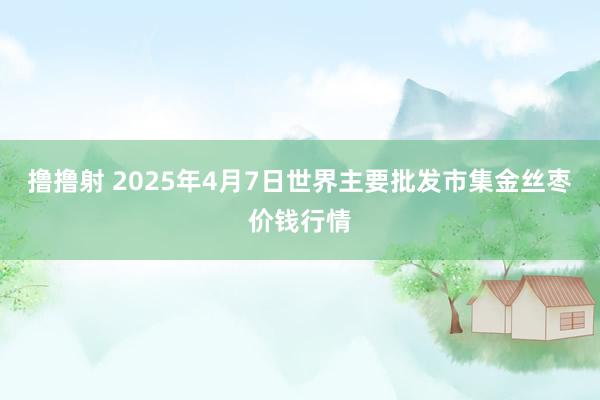 撸撸射 2025年4月7日世界主要批发市集金丝枣价钱行情
