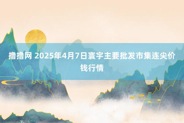 撸撸网 2025年4月7日寰宇主要批发市集连尖价钱行情