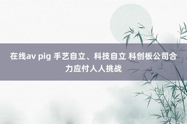 在线av pig 手艺自立、科技自立 科创板公司合力应付人人挑战