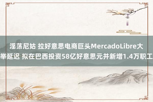 淫荡尼姑 拉好意思电商巨头MercadoLibre大举延迟 拟在巴西投资58亿好意思元并新增1.4万职工