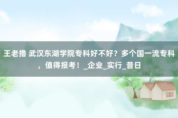 王老撸 武汉东湖学院专科好不好？多个国一流专科，值得报考！_企业_实行_昔日