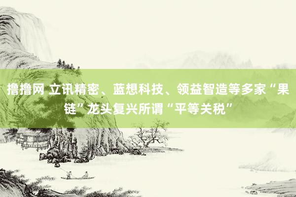 撸撸网 立讯精密、蓝想科技、领益智造等多家“果链”龙头复兴所谓“平等关税”
