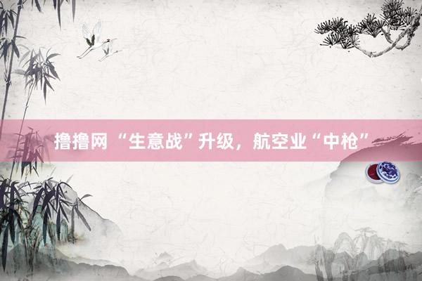 撸撸网 “生意战”升级，航空业“中枪”