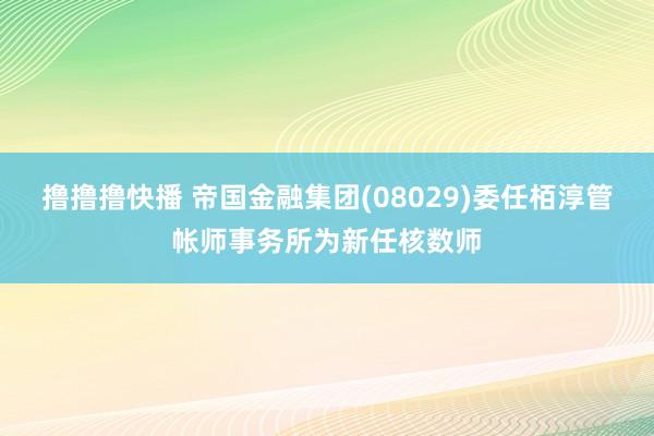 撸撸撸快播 帝国金融集团(08029)委任栢淳管帐师事务所为新任核数师