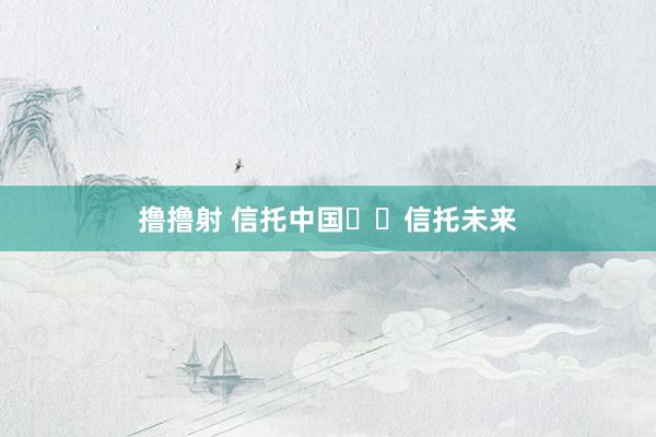 撸撸射 信托中国  信托未来