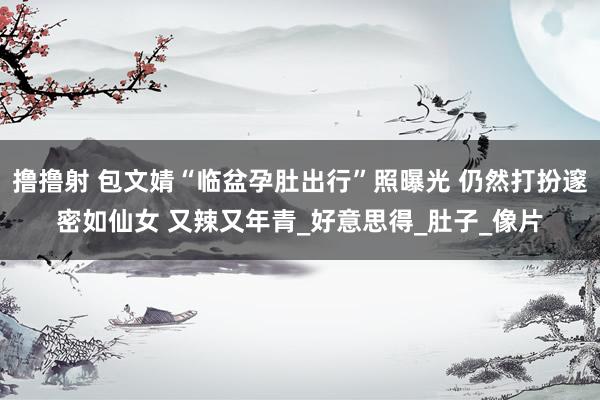 撸撸射 包文婧“临盆孕肚出行”照曝光 仍然打扮邃密如仙女 又辣又年青_好意思得_肚子_像片