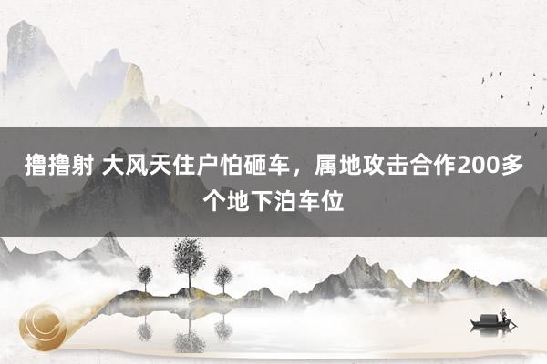 撸撸射 大风天住户怕砸车，属地攻击合作200多个地下泊车位