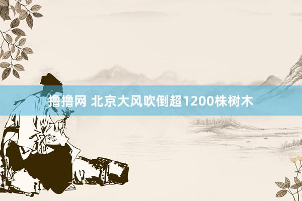 撸撸网 北京大风吹倒超1200株树木