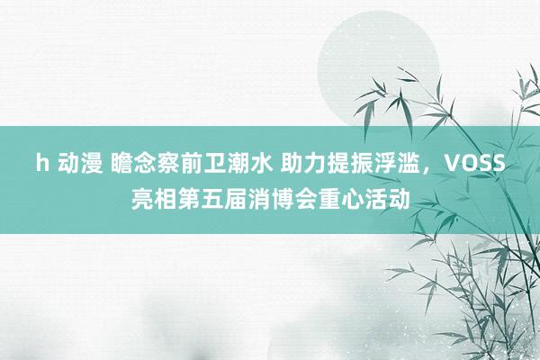 h 动漫 瞻念察前卫潮水 助力提振浮滥，VOSS亮相第五届消博会重心活动