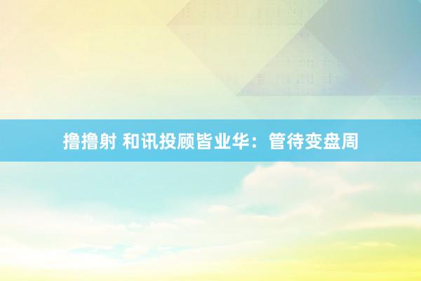 撸撸射 和讯投顾皆业华：管待变盘周