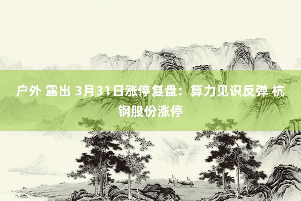 户外 露出 3月31日涨停复盘：算力见识反弹 杭钢股份涨停