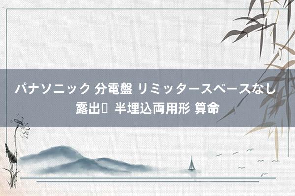 パナソニック 分電盤 リミッタースペースなし 露出・半埋込両用形 算命