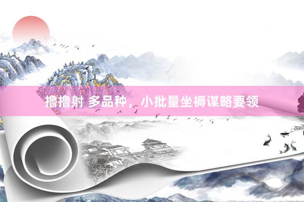 撸撸射 多品种，小批量坐褥谋略要领