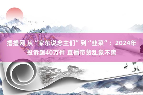撸撸网 从“家东说念主们”到“韭菜”：2024年投诉超40万件 直播带货乱象不啻