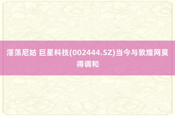 淫荡尼姑 巨星科技(002444.SZ)当今与敦煌网莫得调和