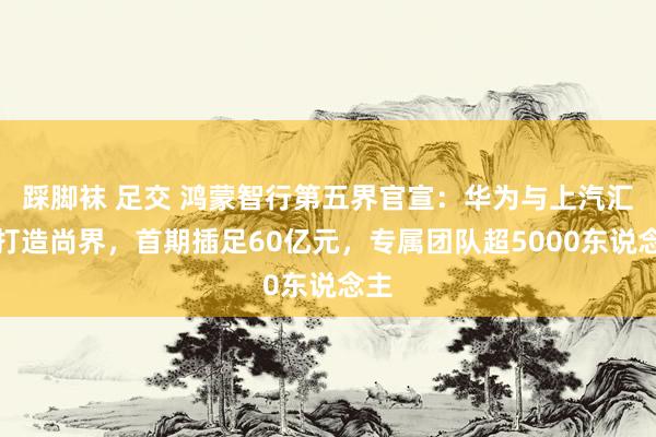 踩脚袜 足交 鸿蒙智行第五界官宣：华为与上汽汇集打造尚界，首期插足60亿元，专属团队超5000东说念主