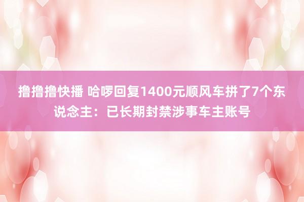 撸撸撸快播 哈啰回复1400元顺风车拼了7个东说念主：已长期封禁涉事车主账号