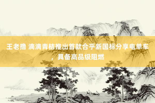 王老撸 滴滴青桔推出首款合乎新国标分享电单车，具备高品级阻燃