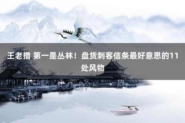 王老撸 第一是丛林！盘货刺客信条最好意思的11处风物