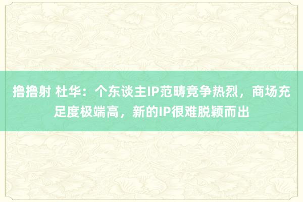 撸撸射 杜华：个东谈主IP范畴竞争热烈，商场充足度极端高，新的IP很难脱颖而出