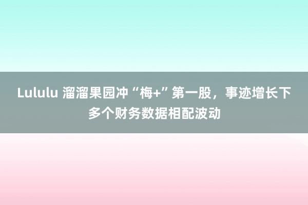 Lululu 溜溜果园冲“梅+”第一股，事迹增长下多个财务数据相配波动