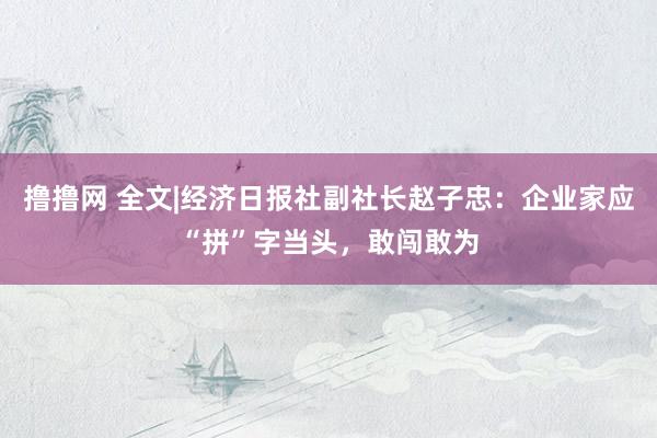 撸撸网 全文|经济日报社副社长赵子忠：企业家应“拼”字当头，敢闯敢为