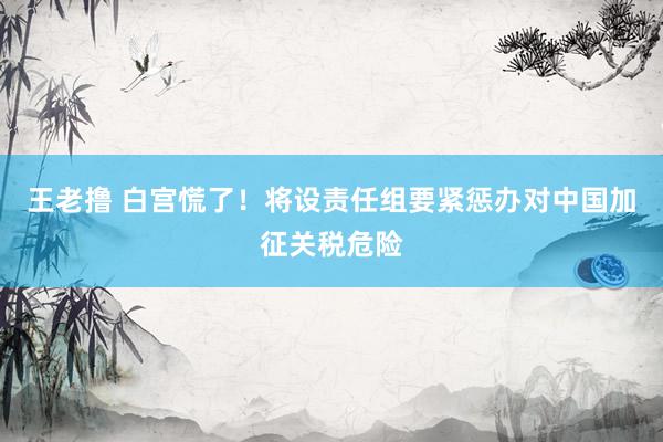 王老撸 白宫慌了！将设责任组要紧惩办对中国加征关税危险