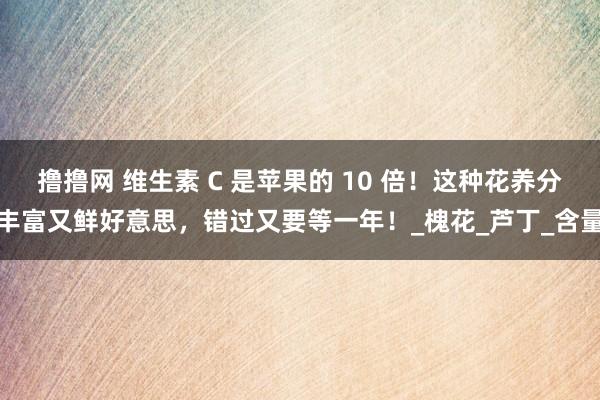 撸撸网 维生素 C 是苹果的 10 倍！这种花养分丰富又鲜好意思，错过又要等一年！_槐花_芦丁_含量