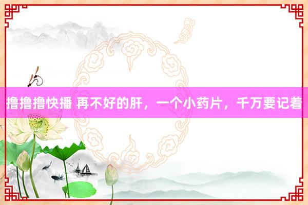 撸撸撸快播 再不好的肝，一个小药片，千万要记着