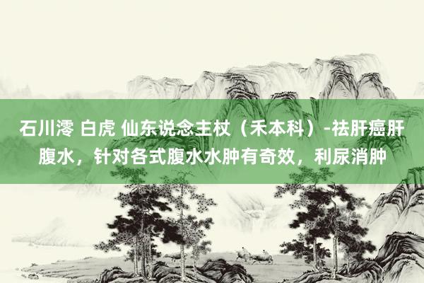 石川澪 白虎 仙东说念主杖（禾本科）-祛肝癌肝腹水，针对各式腹水水肿有奇效，利尿消肿