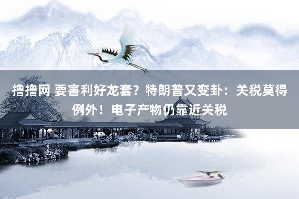 撸撸网 要害利好龙套？特朗普又变卦：关税莫得例外！电子产物仍靠近关税