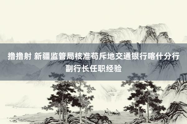 撸撸射 新疆监管局核准苟斥地交通银行喀什分行副行长任职经验