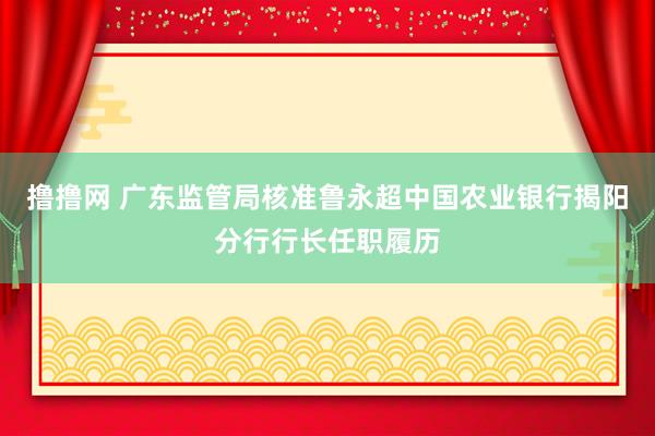撸撸网 广东监管局核准鲁永超中国农业银行揭阳分行行长任职履历