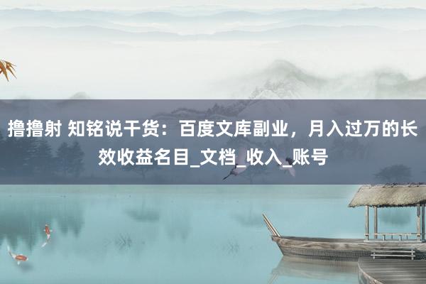 撸撸射 知铭说干货：百度文库副业，月入过万的长效收益名目_文档_收入_账号