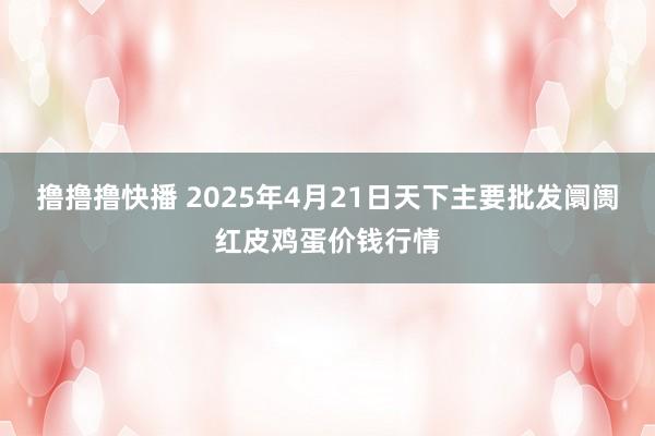 撸撸撸快播 2025年4月21日天下主要批发阛阓红皮鸡蛋价钱行情