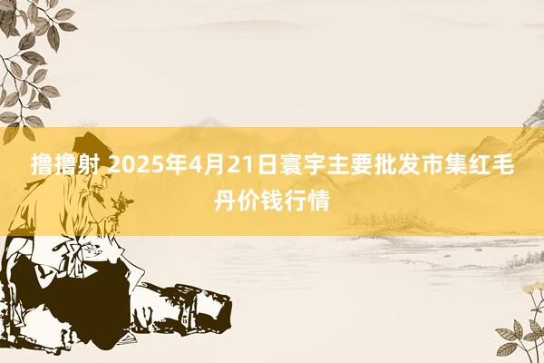 撸撸射 2025年4月21日寰宇主要批发市集红毛丹价钱行情
