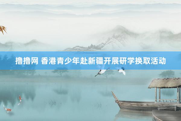 撸撸网 香港青少年赴新疆开展研学换取活动