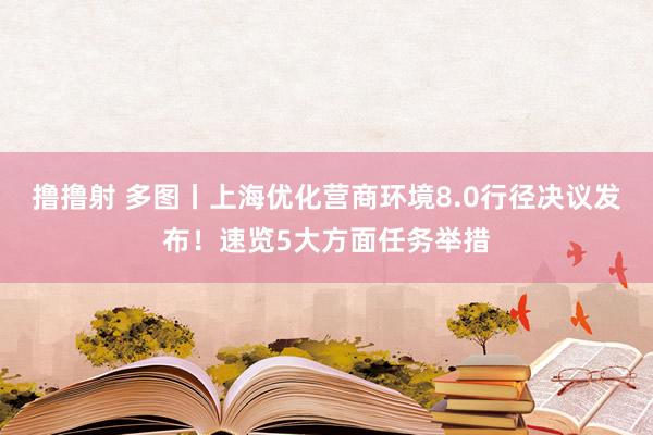 撸撸射 多图丨上海优化营商环境8.0行径决议发布！速览5大方面任务举措