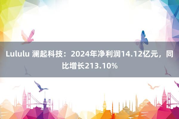 Lululu 澜起科技：2024年净利润14.12亿元，同比增长213.10%