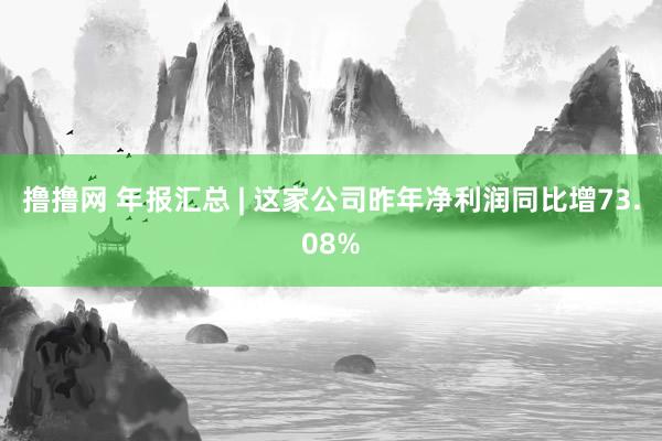 撸撸网 年报汇总 | 这家公司昨年净利润同比增73.08%