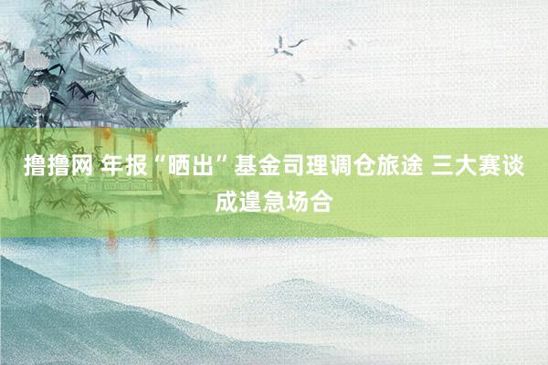 撸撸网 年报“晒出”基金司理调仓旅途 三大赛谈成遑急场合