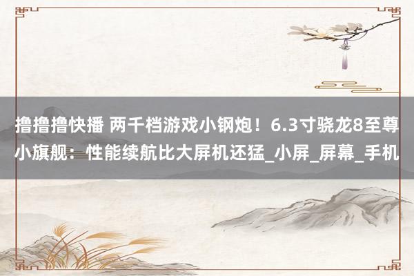 撸撸撸快播 两千档游戏小钢炮！6.3寸骁龙8至尊小旗舰：性能续航比大屏机还猛_小屏_屏幕_手机