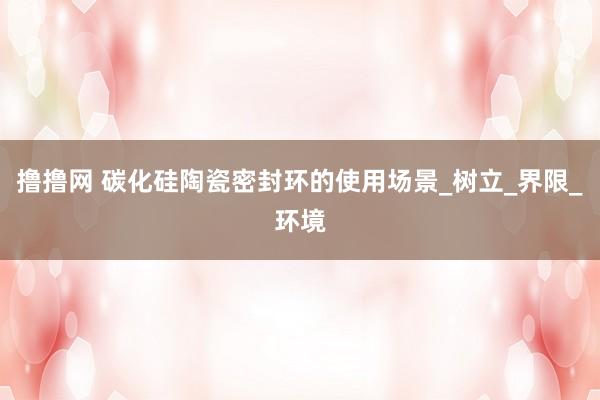 撸撸网 碳化硅陶瓷密封环的使用场景_树立_界限_环境