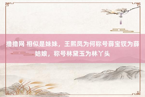 撸撸网 相似是妹妹，王熙凤为何称号薛宝钗为薛姑娘，称号林黛玉为林丫头