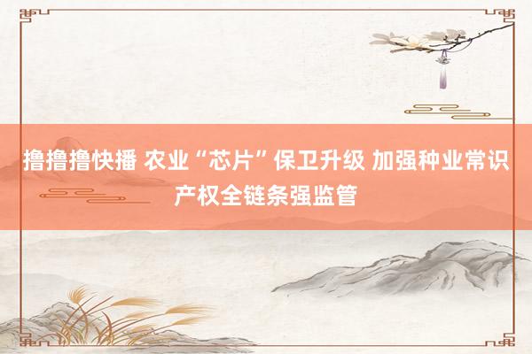 撸撸撸快播 农业“芯片”保卫升级 加强种业常识产权全链条强监管